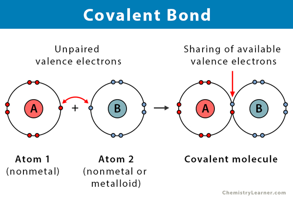 Covalent Bond Diagram