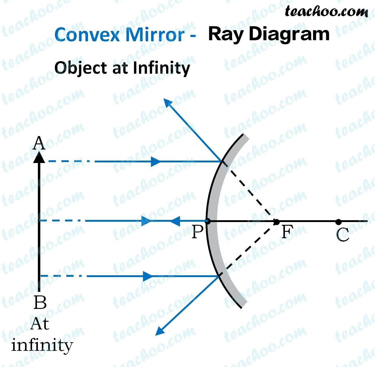 Ray of Convex Lens Diagram